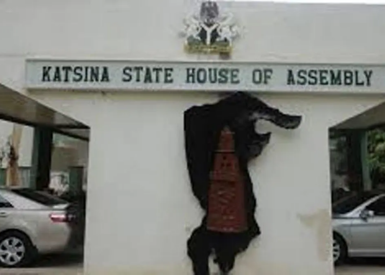 Katsina-Assembly-750×536